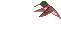 hummingbird.gif